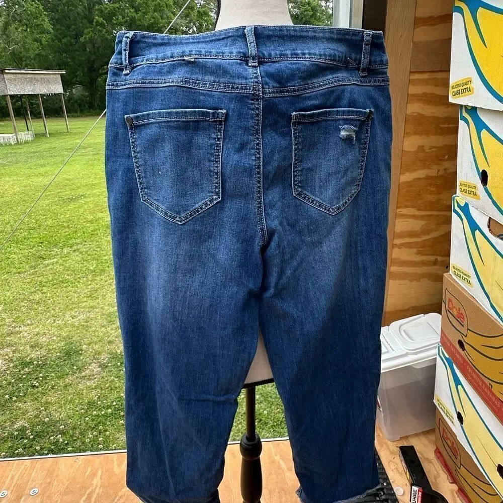 Cato Distressed Blue Jeans - Picture 5 of 6